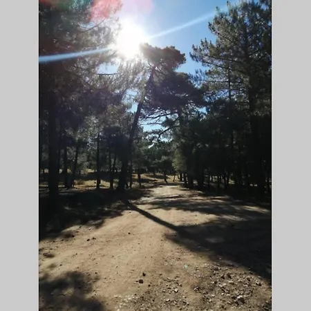 Hébergement de vacances La Casa De Abuelos *